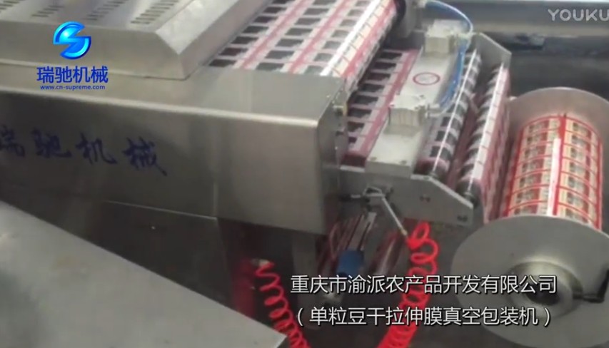 浙江單粒豆干拉伸膜真空包裝機(jī)